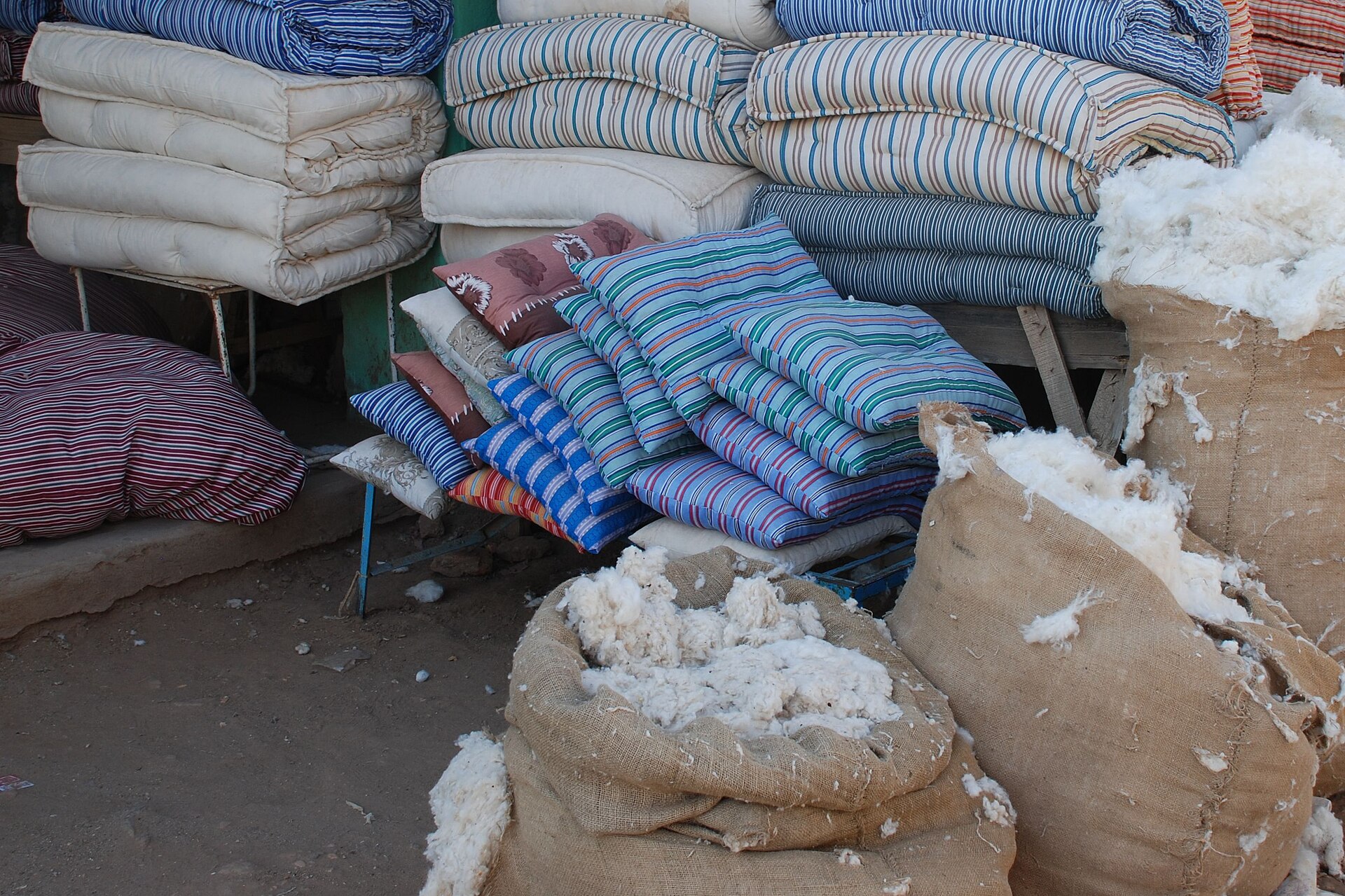 Sudan · Cotton